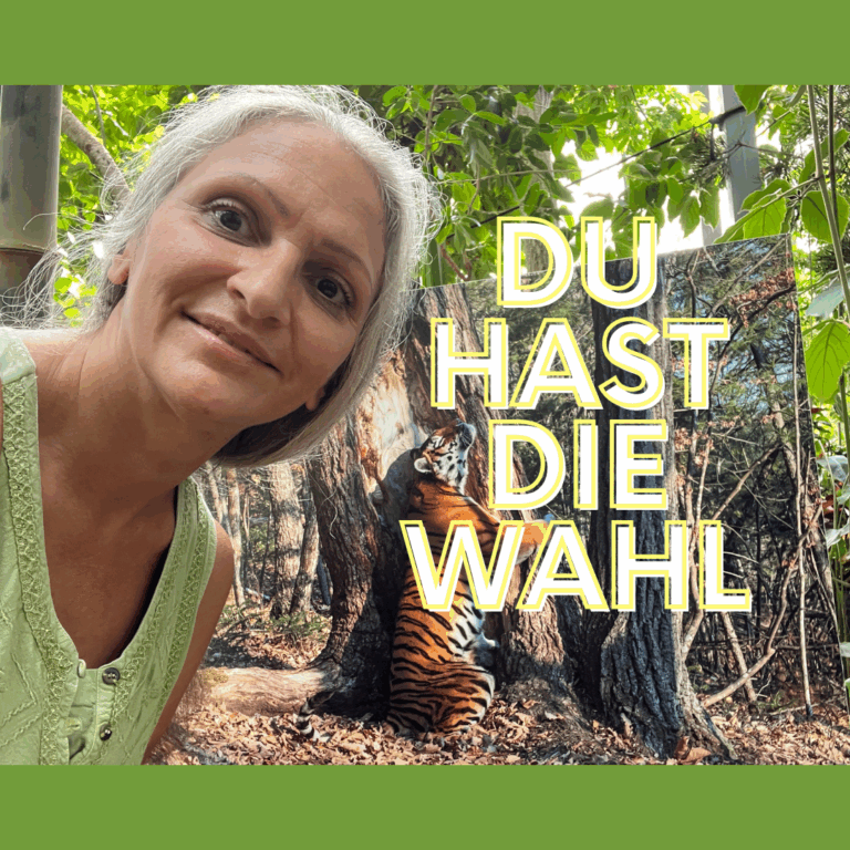 Du hast die Wahl - aktuelle Energien