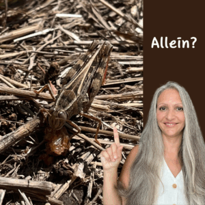 Bist du gern allein?